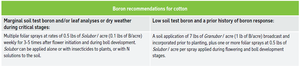Boron recommendations for cotton