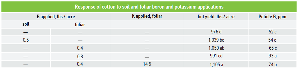 Response of cotton to soil and foliar boron and potassium applications