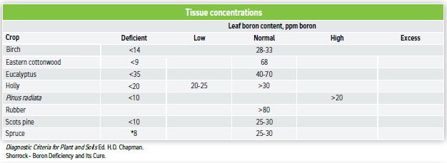 Tissue concentrations: Forestry