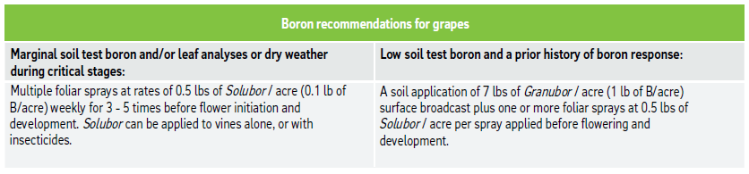 Boron recommendations for grapes
