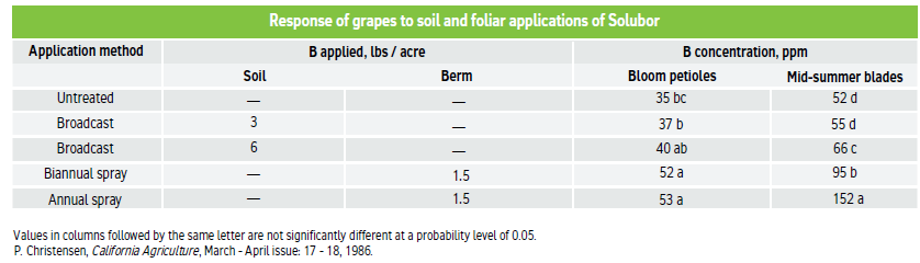 Response of grapes to soil and foliar applications of Solubor