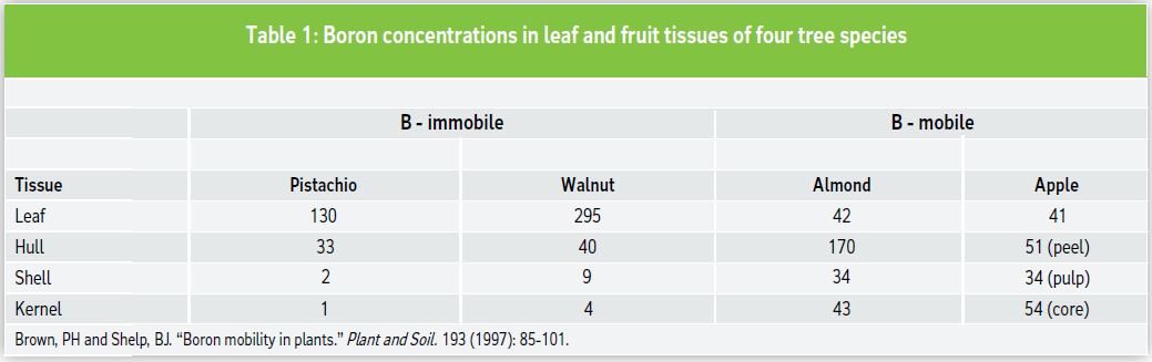 Boron concentrations in leaf and fruit tissues of four tree species