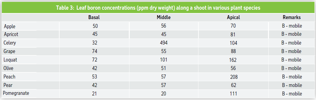 Table 3: Leaf boron concentrations (ppm dry weight) along a shoot in various plant species