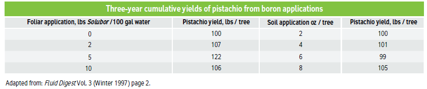 Three year cumulative yields of pistachio from boron applications
