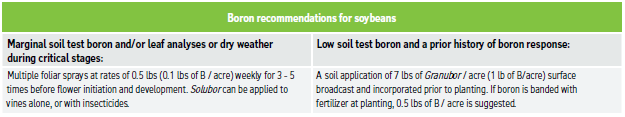 Boron recommendations for soybeans