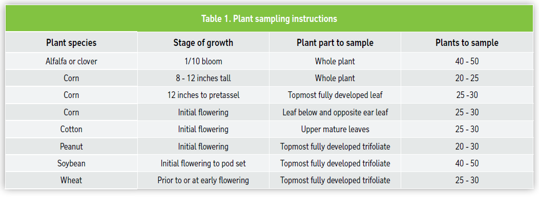 Table 1: Plant sampling instructions