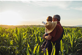 Celebrating the heart of American agriculture: Family farms