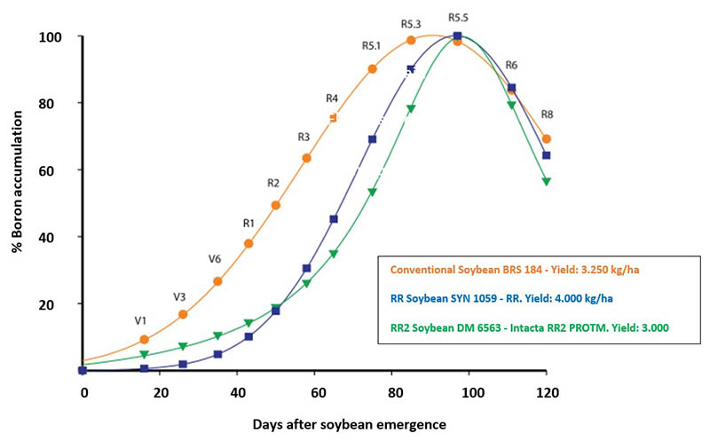 Boron accumulation curve in soybean varieties graph