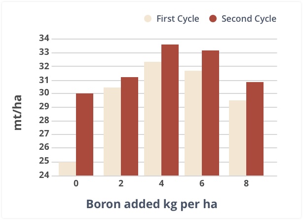 Yield results when boron is added to the first cycle and second cycle