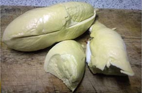 UFR in durian