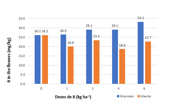 Graph of boron flower content in coffee