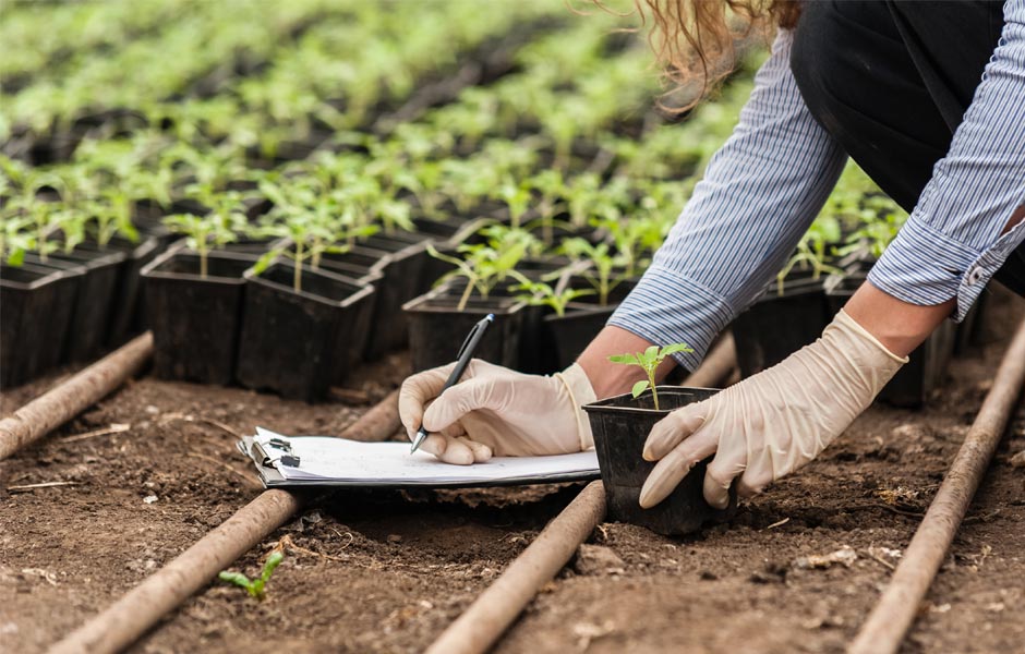 Agronomy notes Soil tests for available boron U.S. Borax