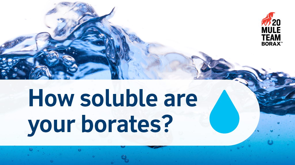 Borates mineral solubility in water