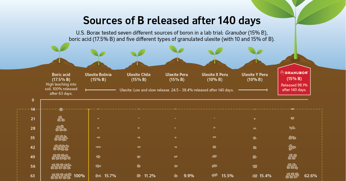 Infographic: Why Granubor Is Perfect For Your Crops | U.S. Borax