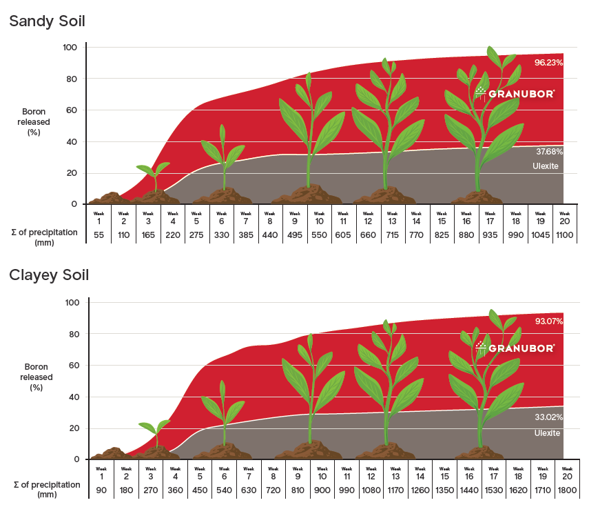 Granubor and ulexite release rates in sandy soil vs clayey soil