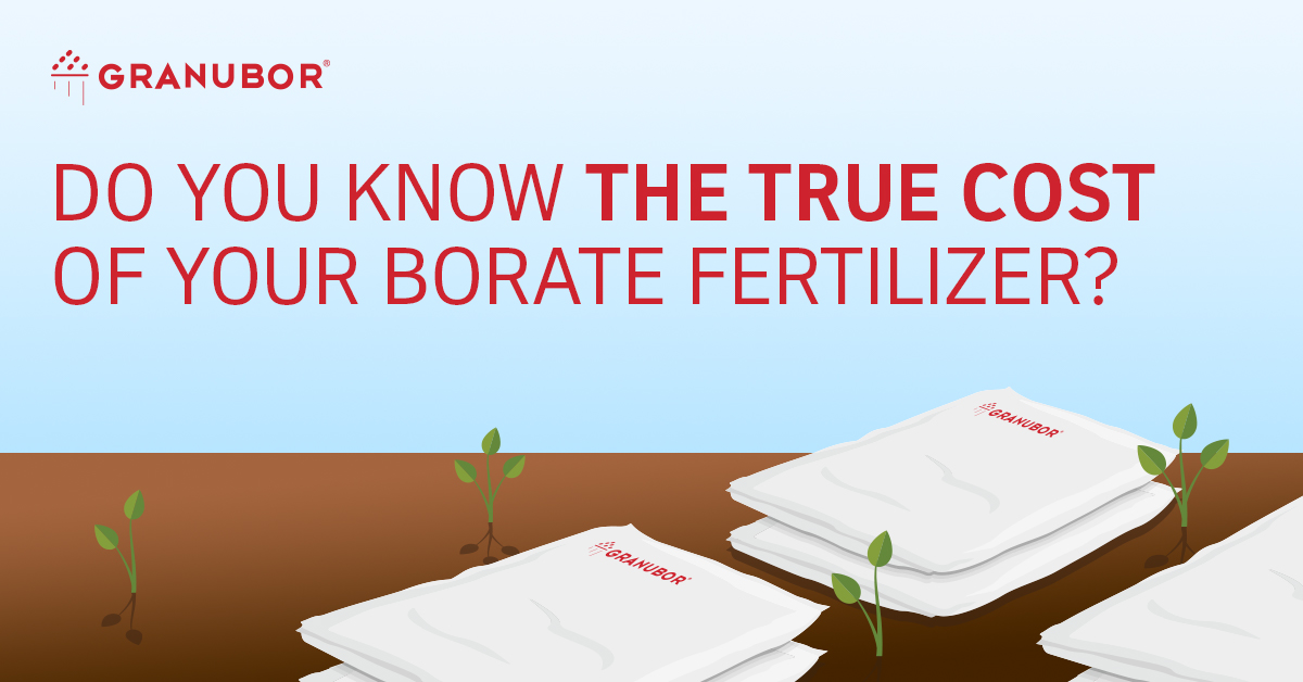 Infographic: Price Of Granubor Vs Ulexite | U.S. Borax