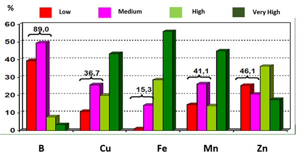 Micronutrient deficiencies in Brazil