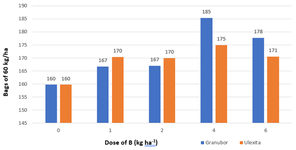 Graph of coffee yield sources and doses of boron in coffee plants